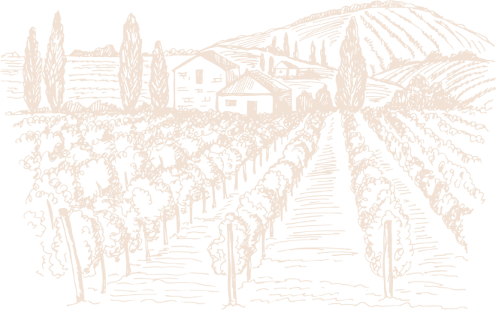 Croquis du domaine du Vignoble Durand à Saint Lumine de Clisson