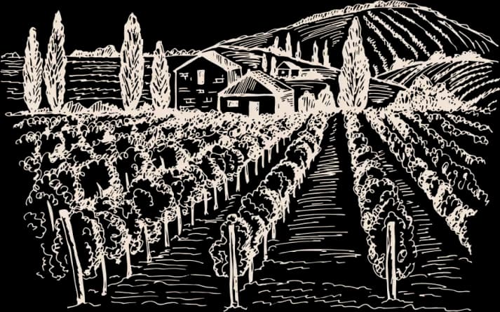 Croquis du domaine du Vignoble Durand à Saint Lumine de Clisson